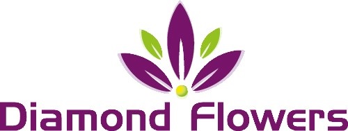 Diamond Flowers V.O.F. Logo