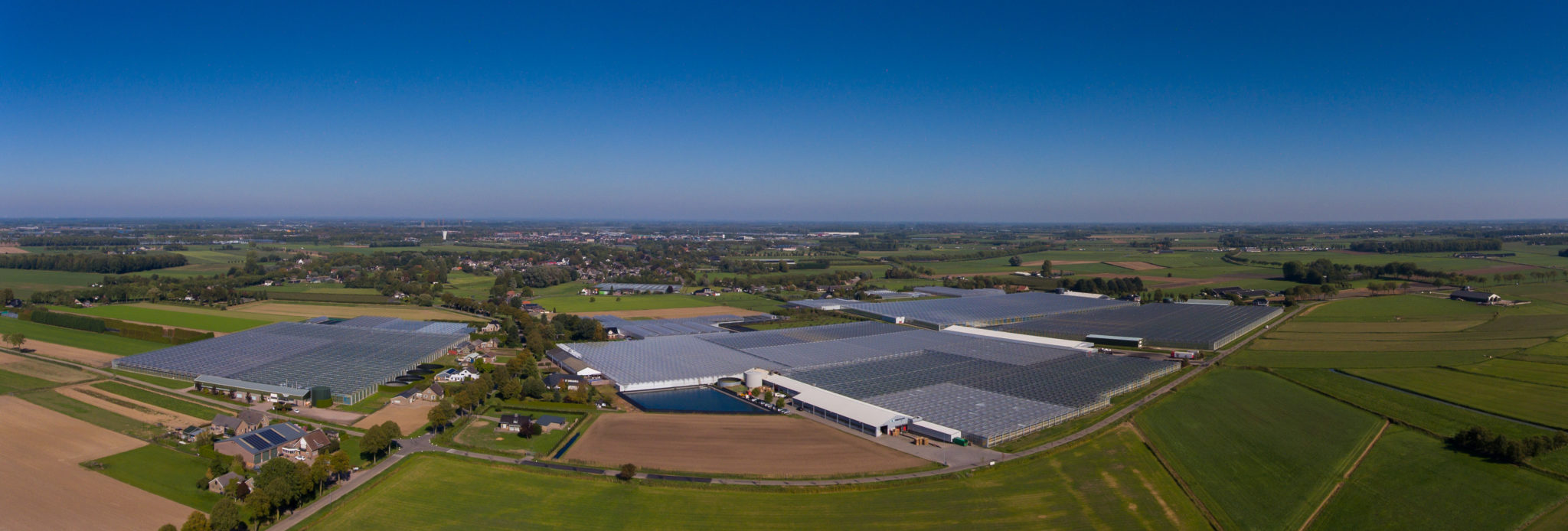 luchtfoto Kreling Chrysanten B.V.